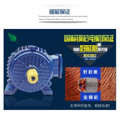 三拓60KTYZ減速同步電機