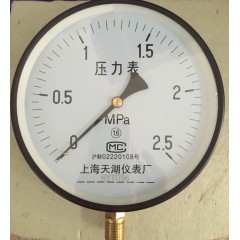 壓力表