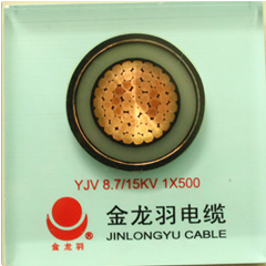 金龍羽電焊機(jī)電纜.