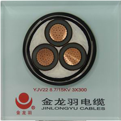 金龍羽6-35 kV交聯(lián)聚乙烯絕緣電力電纜.
