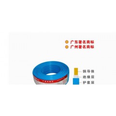 珠江電線電纜BVV ZR-BVV2