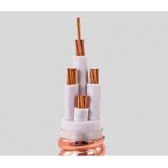 華洋礦物質(zhì)絕緣電纜BTTW 4X25 廠家華洋電纜