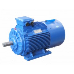 普通變頻調(diào)速電機(jī)