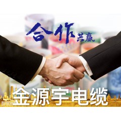金源宇電纜