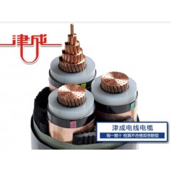 津成聚氯乙烯絕緣電力電纜.
