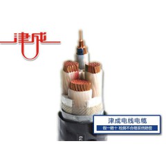 津成聚氯乙烯絕緣電力電纜
