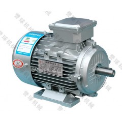 譽(yù)球Y2系列(IP54)三相異步電動(dòng)機(jī)
