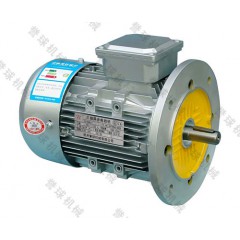譽(yù)球Y2系列(IP54)三相異步電動(dòng)機(jī)Y2-B5