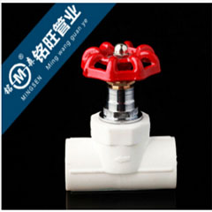 PPR精品截止閥，升降閥 型號(hào)20-110 熱熔閥門 內(nèi)升降式，PPR水閥