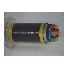 華旗 聚氯乙烯絕緣聚氯乙烯護(hù)套電力電纜.jpg