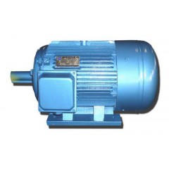大通三相異步電動機.jpg