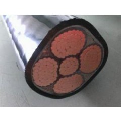 YJV4X240+1X20電纜.