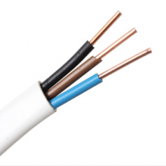 正泰（CHNT）電線電纜BVVB