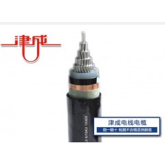 津成鋁合金電纜ZR-YJLHV