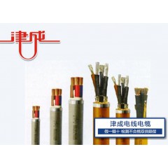津成特種電纜