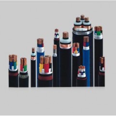 交聯(lián)聚乙烯絕緣電力電纜