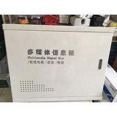 300/400多媒體