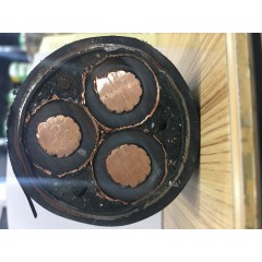 電纜樣品