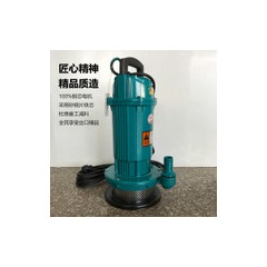 小型潛水泵不銹電動(dòng)抽水泵