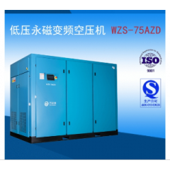 AZD低壓永磁WZS-75AZD