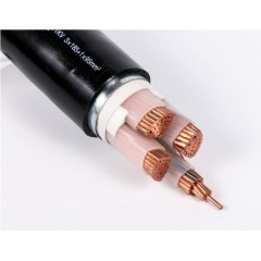 鎧裝控制電纜