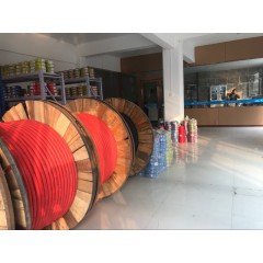 店內(nèi)照6