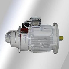 變頻調(diào)速電動(dòng)機(jī)