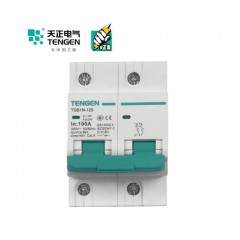 天正電氣（TENGEN）空氣開關 2P C 100A 6kA 01060280019 TGB1N-125 微型斷路器