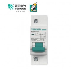 天正電氣（TENGEN）空氣開關 1P C 80A 6kA  微型斷路器