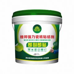 樓邦強(qiáng)力瓷磚粘結(jié)劑（6代雙組份）