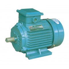 Y2系列鐵殼三相異步電動機(jī)