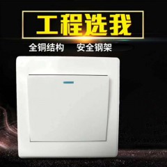 工程墻壁開關(guān)、安全出口、應(yīng)急照明
