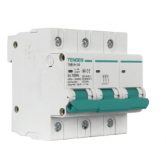 天正電氣 空氣開關(guān) TGB1N-125 3P C 100A 6kA01060280031 微型斷路器