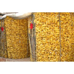 圈玉米網(wǎng)