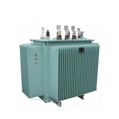 油浸式電力變壓器