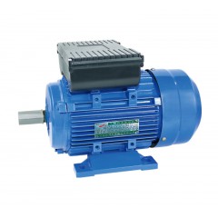 YL系列單相雙值電容異步電動(dòng)機(jī)