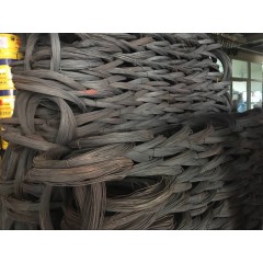 店內展示 (1)