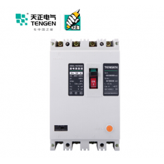 天正電氣 DZ20L-160 12KA 熱磁式 160A 3P+N 手動 固定式 380V 01020020461 塑殼漏電保護斷路器