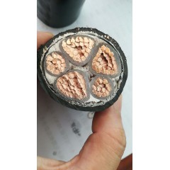 店內(nèi)產(chǎn)品展示 (2)