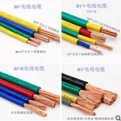 金環(huán)宇電線——BVV 95平方