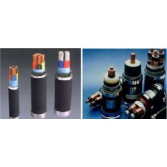 阻燃、耐火、無(wú)鹵低煙阻燃類(lèi)電力電纜