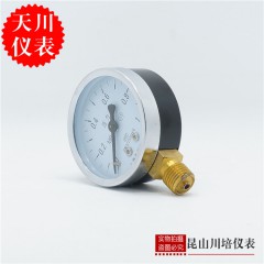 上海天川儀表 普通Y-60氣,水壓力表