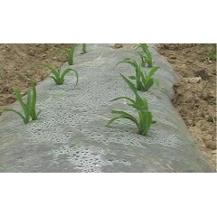 農(nóng)業(yè)覆蓋地膜