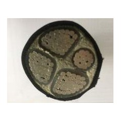津達(dá) 鋁芯阻燃交聯(lián)聚乙烯絕緣電力電纜ZCYJLV