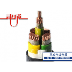 WDZN-VV22銅芯聚氯乙烯絕緣鋼帶鎧裝聚氯乙烯護(hù)套低煙無(wú)鹵阻燃耐火電力電纜