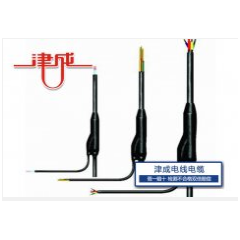 FD-VV-NH銅芯聚氯乙烯絕緣聚氯乙烯護(hù)套耐火預(yù)制分支電纜