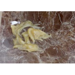 石頭膠云石膏魚缸造景防水云石膠小瓶固化劑家用快干大理石膠強(qiáng)力