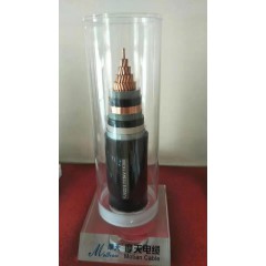 摩天電纜08