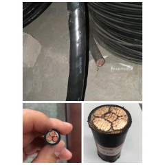 華明電纜 (1)