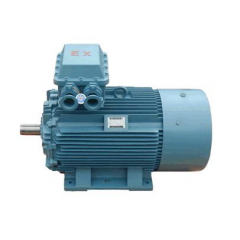 隔爆型電動(dòng)機(jī)